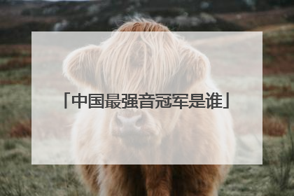 中国最强音冠军是谁