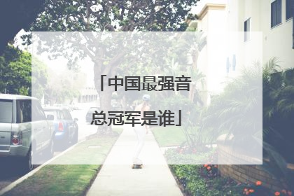 中国最强音总冠军是谁