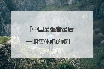 中国最强音最后一期集体唱的歌