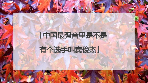 中国最强音里是不是有个选手叫宾俊杰