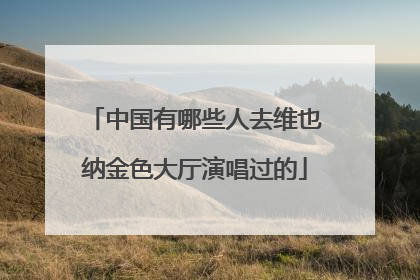 中国有哪些人去维也纳金色大厅演唱过的