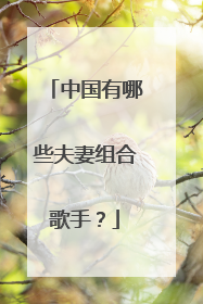 中国有哪些夫妻组合歌手？