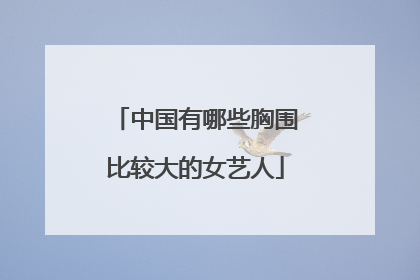 中国有哪些胸围比较大的女艺人