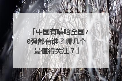 中国有嘻哈全国70强都有谁?哪几个最值得关注?
