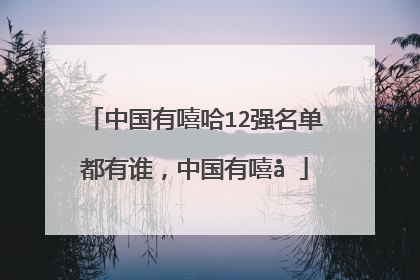 中国有嘻哈 嘻哈侠(中国有嘻哈嘻哈侠海选)
