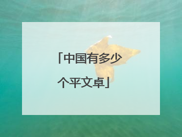 中国有多少个平文卓