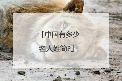 中国有多少名人姓简?