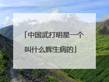 中国武打明星一个叫什么辉生病的