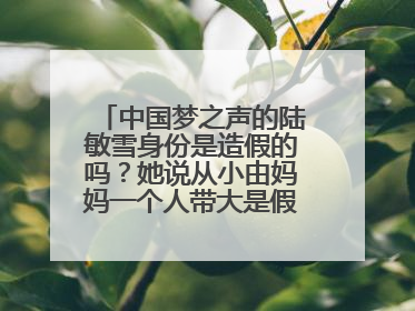 中国梦之声的陆敏雪身份是造假的吗？她说从小由妈妈一个人带大是假的吧~