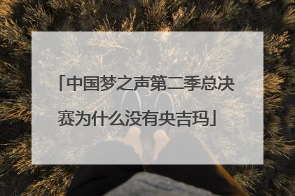 中国梦之声第二季总决赛为什么没有央吉玛