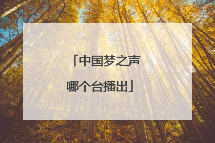 中国梦之声哪个台播出