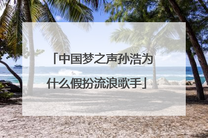 中国梦之声孙浩为什么假扮流浪歌手