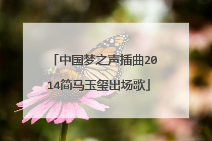中国梦之声插曲2014简马玉玺出场歌