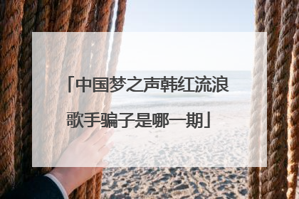 中国梦之声韩红流浪歌手骗子是哪一期