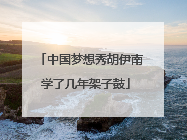 中国梦想秀胡伊南学了几年架子鼓