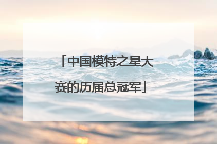 中国模特之星大赛的历届总冠军