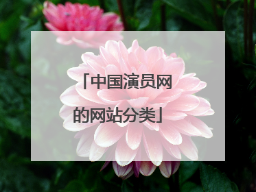 中国演员网的网站分类