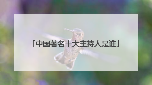 中国著名十大主持人是谁