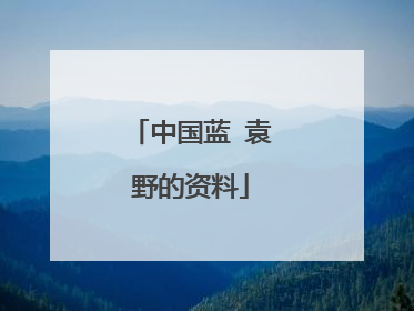 中国蓝 袁野的资料