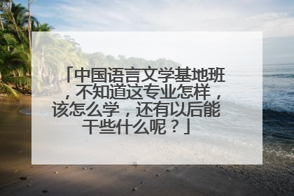 中国语言文学基地班，不知道这专业怎样，该怎么学，还有以后能干些什么呢？