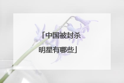 中国被封杀明星有哪些