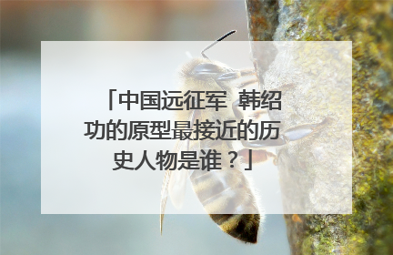 中国远征军 韩绍功的原型最接近的历史人物是谁?