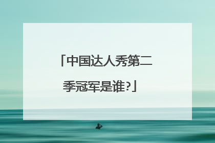 中国达人秀第二季冠军是谁?