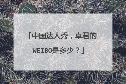 中国达人秀,卓君的WEIBO是多少?