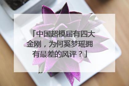 中国超模届有四大金刚，为何奚梦瑶拥有最差的风评？