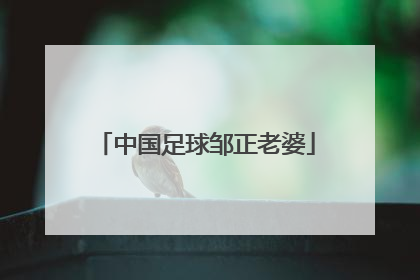 中国足球邹正老婆