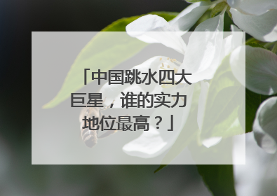 中国跳水四大巨星，谁的实力地位最高？