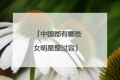 中国都有哪些女明星整过容