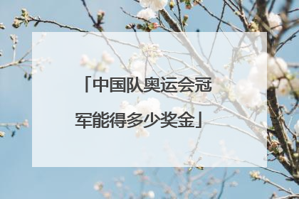 中国队奥运会冠军能得多少奖金