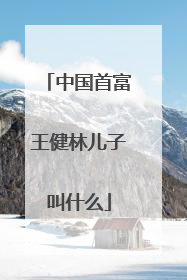 中国首富王健林儿子叫什么