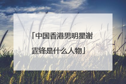 中国香港男明星谢霆锋是什么人物