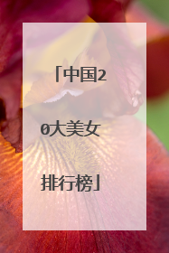 中国20大美女排行榜