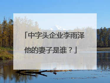 中字头企业李雨泽他的妻子是谁?