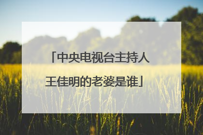 中央电视台主持人王佳明的老婆是谁