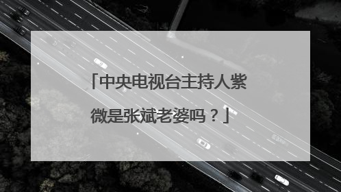 中央电视台主持人紫微是张斌老婆吗?