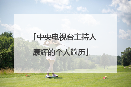 中央电视台主持人康辉的个人简历