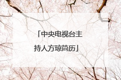 中央电视台主持人方琼简历