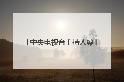 中央电视台主持人桑