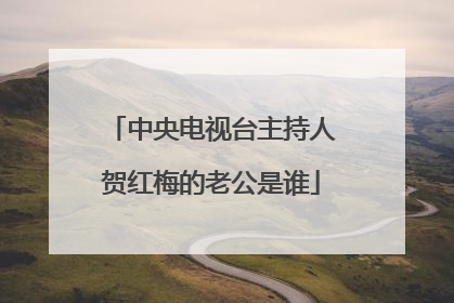 中央电视台主持人贺红梅的老公是谁