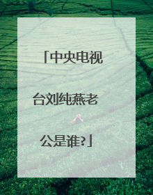 中央电视台刘纯燕老公是谁?