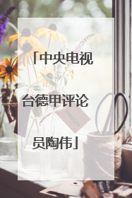 中央电视台德甲评论员陶伟