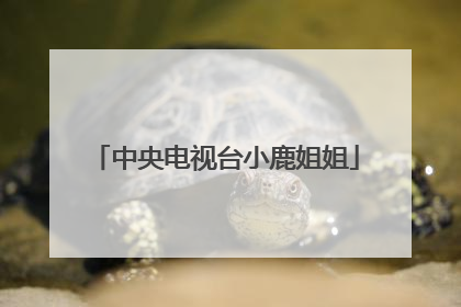 中央电视台小鹿姐姐