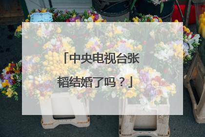 中央电视台张韬结婚了吗?