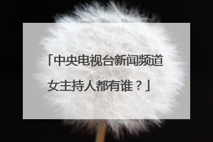 中央电视台新闻频道女主持人都有谁?
