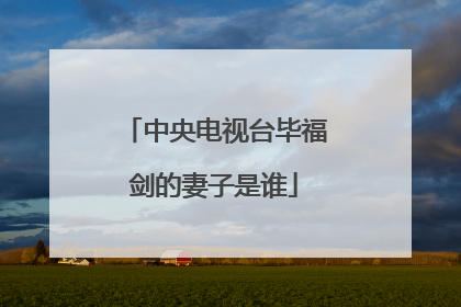 中央电视台毕福剑的妻子是谁