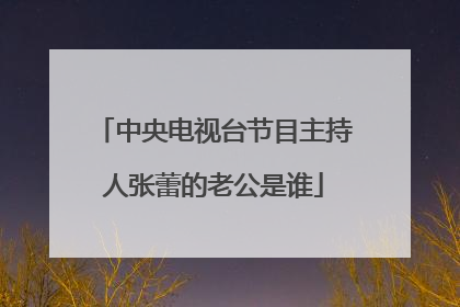 中央电视台节目主持人张蕾的老公是谁